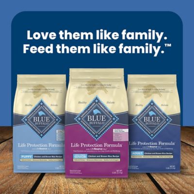 Image showing 8 th Blue Buffalo Life Protection Small Breed Senior Chicken and Brown Rice Recipe Dry Dog Food