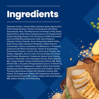 Image showing  Small Breed Puppy Chicken and Oatmeal Recipe Dry Dog Food, 5 lb. Trial Size Bag