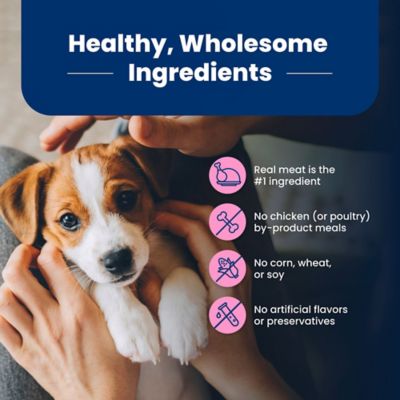 Image showing 5 th Blue Buffalo Life Protection Small Breed Puppy Chicken and Oatmeal Recipe Dry Dog Food, 5 lb. Trial Size Bag