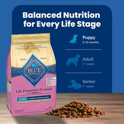 Image showing 7 th Blue Buffalo Life Protection Small Breed Puppy Chicken and Oatmeal Recipe Dry Dog Food, 5 lb. Trial Size Bag
