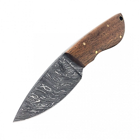BNB Knives 2.875 in. Mini Skinner Knife