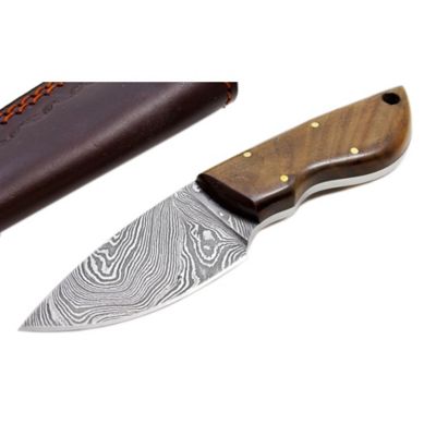 Image showing  2.875 in. Mini Skinner Knife