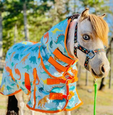 Image showing  Dinosaur Pattern Hooded Horse Fly Sheet