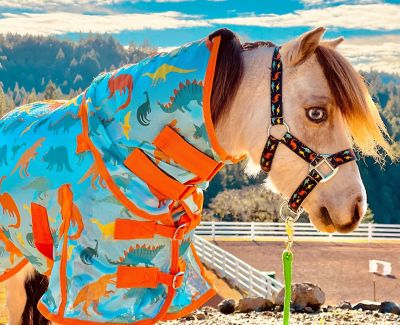 Image showing  Dinosaur Pattern Hooded Horse Fly Sheet