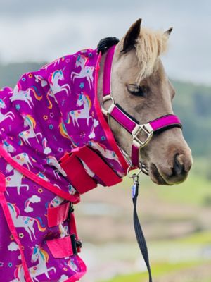 Image showing  Unicorn Hooded Horse Fly Sheet