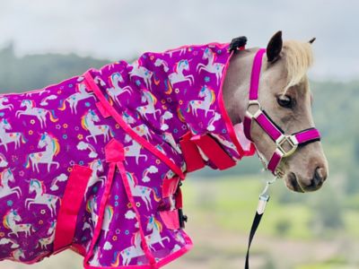 Star Point Horsemanship Unicorn Hooded Horse Fly Sheet