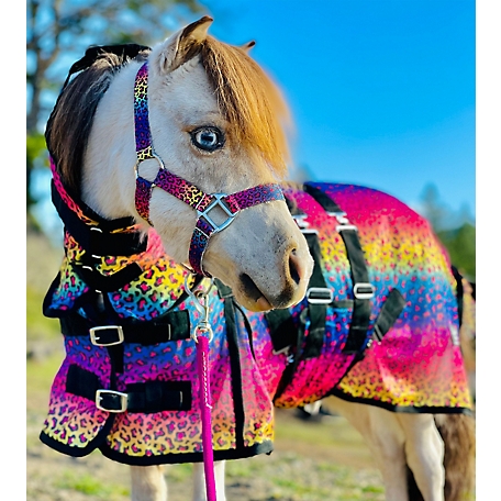 Star Point Horsemanship Rainbow Cheetah Pattern Hooded Horse Fly Sheet