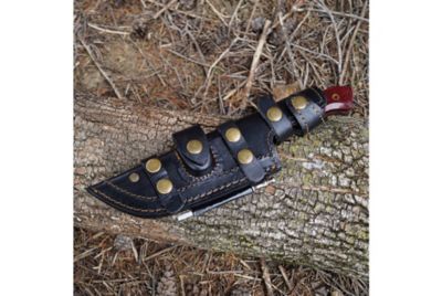 Image showing  6 in. Tanto Tracker Red Micarta Fixed Blade Knife