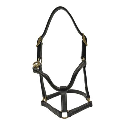 Image showing  Premium Leather Fancy-Stitched Pony Halter