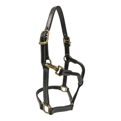 Image showing  Premium Leather Fancy-Stitched Pony Halter