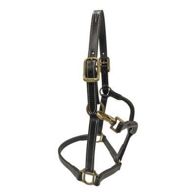 Image showing  Premium Leather Fancy-Stitched Pony Halter