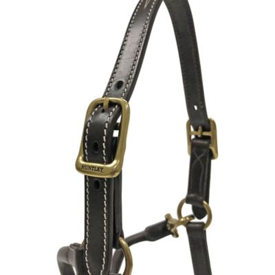Image showing  Premium Leather Fancy-Stitched Pony Halter