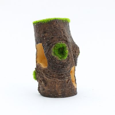 Image showing  Aqua-Floras Tree Base Aquarium Decor