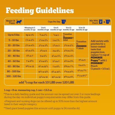 Image showing 8 th Pedigree Puppy Growth & Protection Chicken & Vegetable Recipe Dry Dog Food
