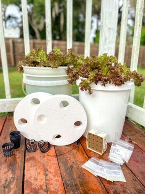 Image showing  Leafy Purple Lettuce Vegetable Plant Hydroponic Starter Kit, 44 pc.