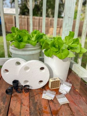 Image showing  Butter Head Lettuce Vegetable Plant Hydroponic Feed/Seed Kit, 44 pc.