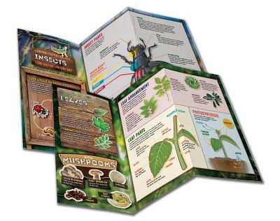 Image showing  Outdoor Science Lab Toy