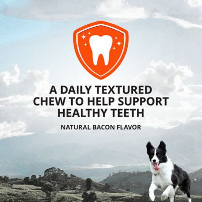 Image showing  Plaque Busters Dental Chews Bacon Flavor Dog Treats, 32 Count