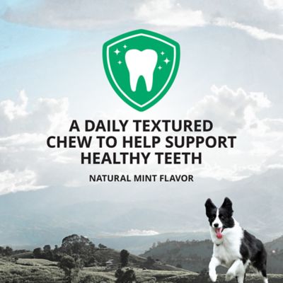 Image showing  Plaque Busters Dental Chews Mint Flavor Dog Treats, 32 Count