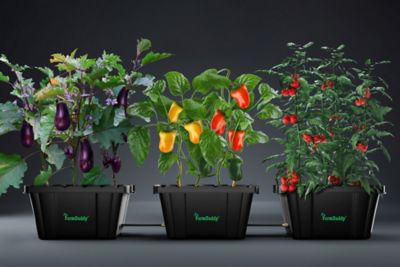 FarmDaddy HDPE Raided Bed Self-Watering Garden Planter