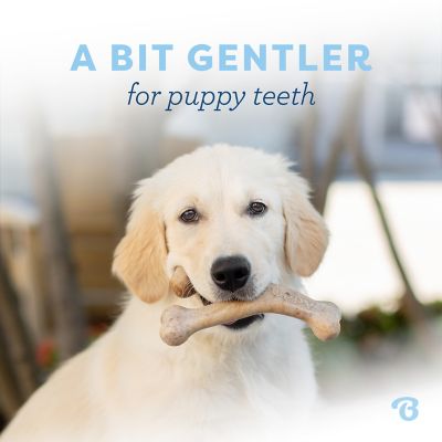 Image showing  Puppy Wishbone Dog Chew Toy, Real Bacon, Medium