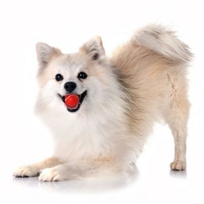 Image showing  Beef Squeaky Chew Ball, Medium