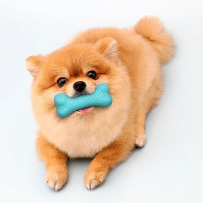 Image showing  Peanut Butter Dual Layer Bone, Small