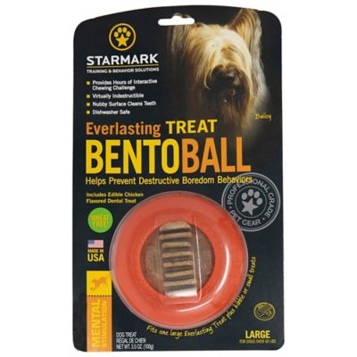 Starmark Everlasting Bento Ball Dog Toy