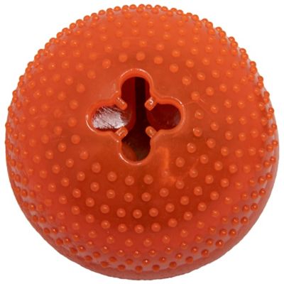 Image showing  Everlasting Bento Ball Interactive Dog Toy