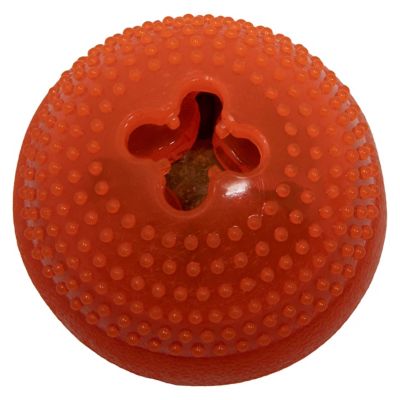 Image showing  Everlasting Bento Ball, Small