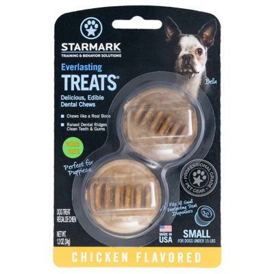 Image showing  Everlasting Treat Chicken, Small