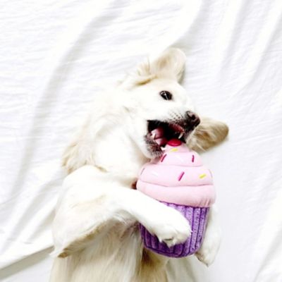 Image showing  Pink Cupcake Dog Toy