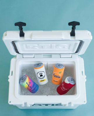 Image showing  Squeakie Can Dog Toy, Fetcha