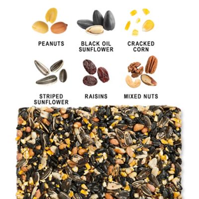 Image showing  Woodpecker Seed Cake Bird Food, 24 oz.