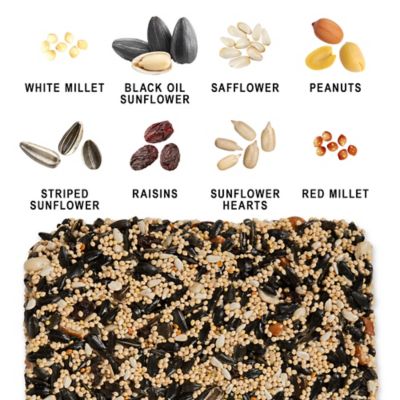 Image showing  Fruit and Nut Seed Cake Wild Bird Food, 24 oz.