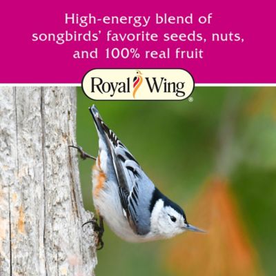 Image showing  Fruit and Nut Seed Cake Wild Bird Food, 24 oz.