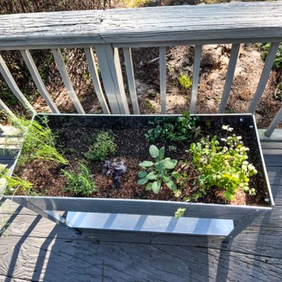 Image showing  22 gal. Iron Elevated Garden Planter