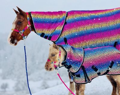 Star Point Horsemanship Rainbow Cheetah Pattern Mid-Weight 220 G Hooded Blanket - Sizes 38-80 in.