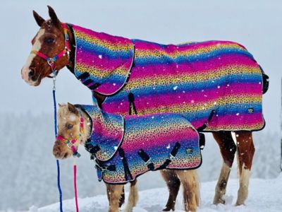 Image showing  Rainbow Cheetah Pattern Mid-Weight 220 G Hooded Blanket - Sizes 38-80 in.