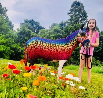 Star Point Horsemanship Rainbow Cheetah Pattern Miniature Horse Lycra Body Suit