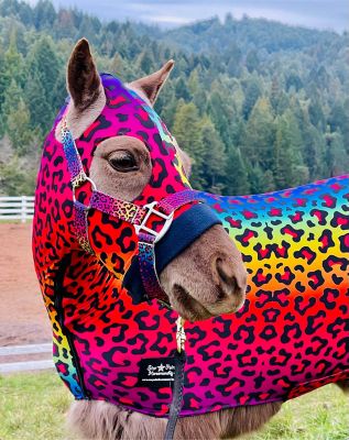 Image showing  Rainbow Cheetah Pattern Miniature Horse Lycra Body Suit