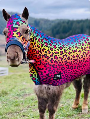Image showing  Rainbow Cheetah Pattern Miniature Horse Lycra Body Suit