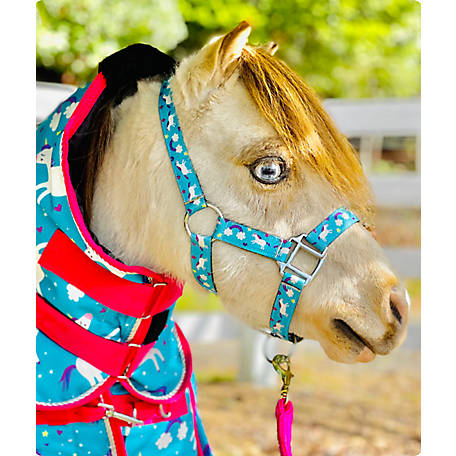 Horse Rope Halter Control Head collar Horsemanship Full Size Yellow Color 