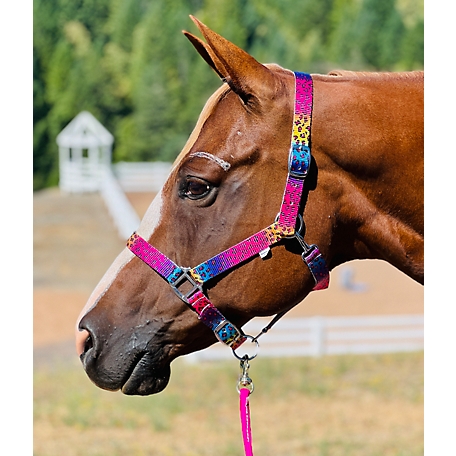 Rope Halter Easy On Clip