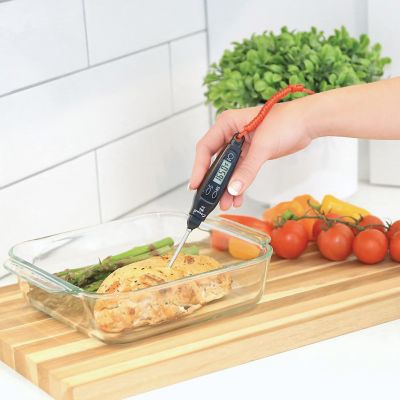 Image showing  Digital Pen Thermometer