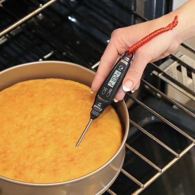 Image showing  Digital Pen Thermometer