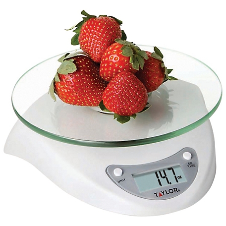 Taylor 6.6 lb. Capacity Digital Glass-Top Kitchen Scale, White at Tractor  Supply Co.