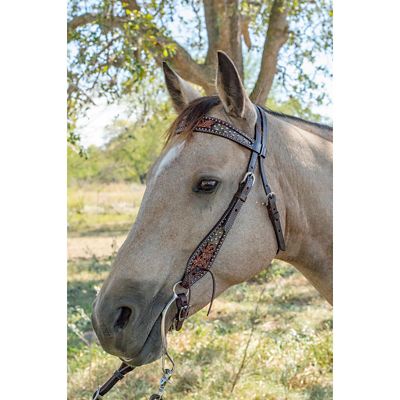 Image showing  43 in. Dark Flash Arizona Flower Browband Headstall