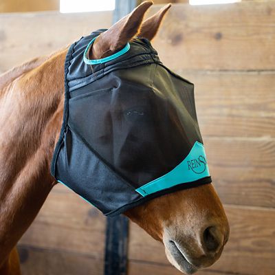 Image showing  Premium Horse Fly Mask without Ears