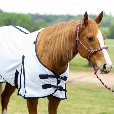 Image showing  Durable Mesh Horse Fly Sheet